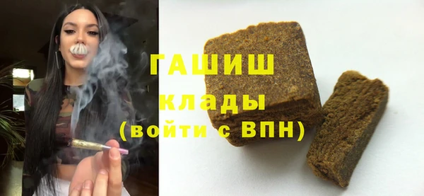 гидра Абаза