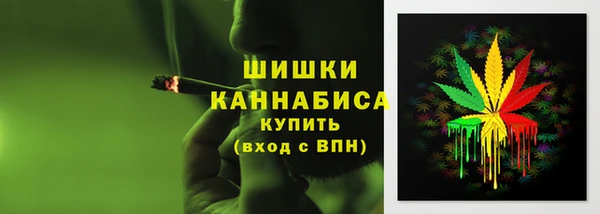 гидра Абаза