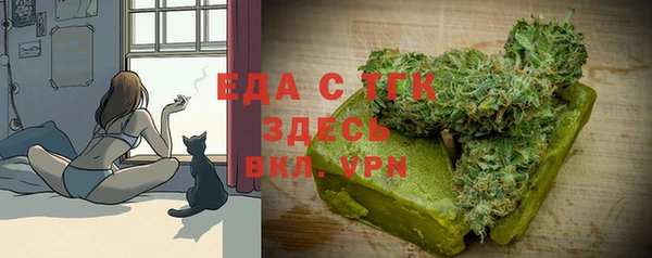 гидра Абаза